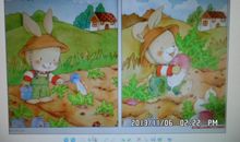 二年级看图写话：小白兔拔萝卜_250字