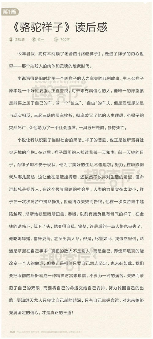 读二年级：《骆驼相子》读完_700字