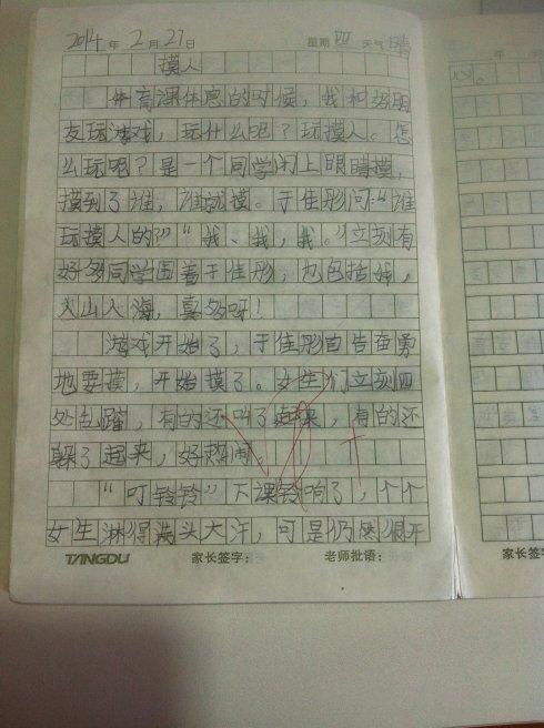 小学二年级日记：数学班_450字