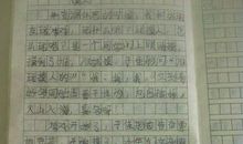 二年级日记：数学课_450字