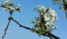 关于大自然的作文：亦要“感”自然_1200字