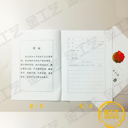 如何编写2010年加入小组的申请