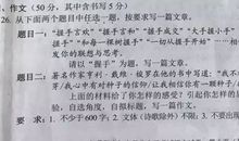 重庆2007年中考作文题 翅膀