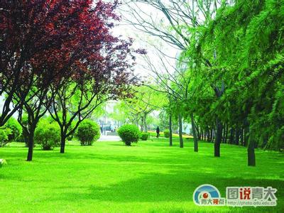 关于环境的构图：绿色学习环境_1000字