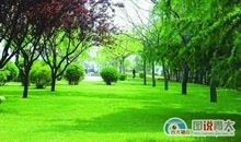 关于环境的作文：共营绿色学习环境_1000字