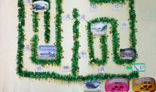 关于奥运的作文:绿色奥运_2000字