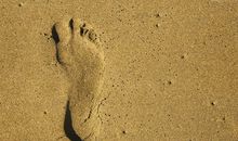 脚印，亲情_300字