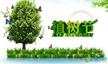 关于植树节的作文：树的绿色幻想_1000字