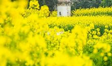 度人文之内涵，言华夏之精髓_700字