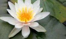 勇敢的追寻_750字