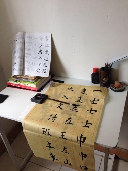 珍惜艺术，陶冶情操_900字