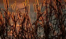 流年拾忆，岁月轻唱_3000字