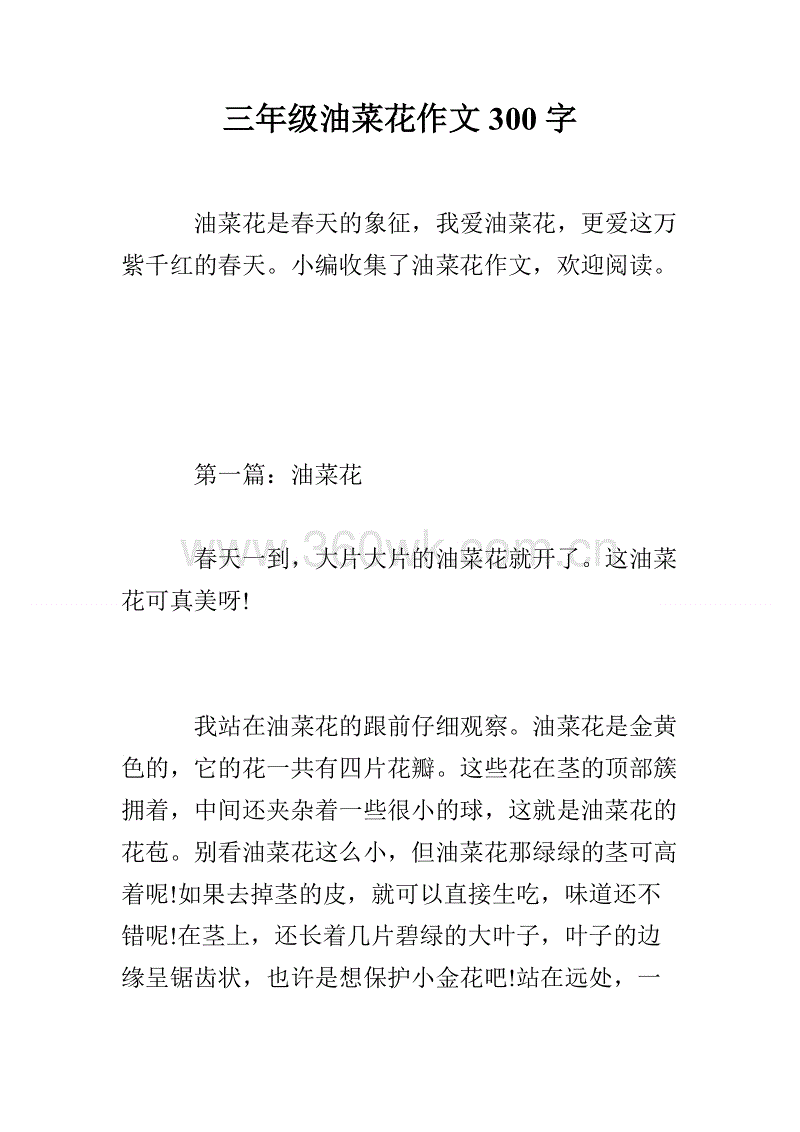 什么是青年？ ？ _300字