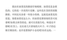 青春是什么？？_300字