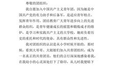 青少年入团申请书