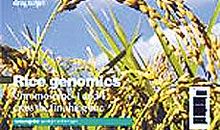 2011年福建高考作文题目：袁隆平相关材料作文