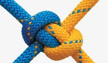 关于团结的作文：团结是最美的音符_750字