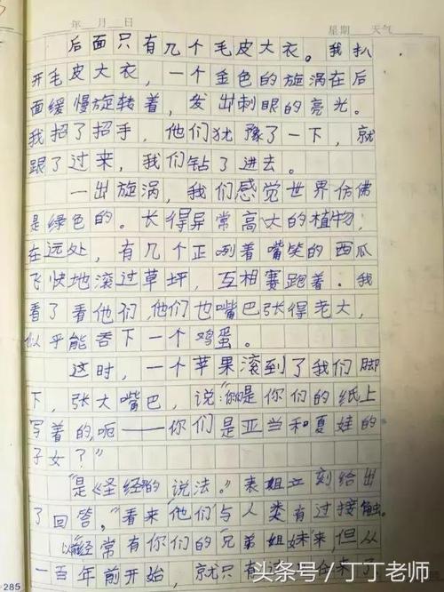 关于团结的构图：团结合作的精神_800字