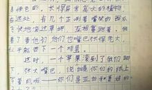 关于团结的作文：团结合作精神_800字