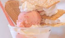 2013重庆高考零分作文：大家好，我是豆你玩_450字