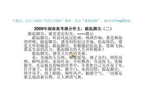 2009湖南省高考作文题目：:脚