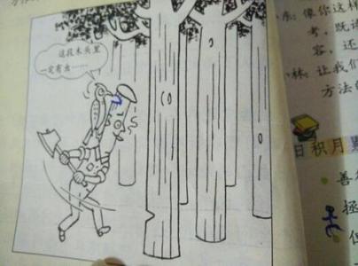 关于统一的构图：Bird Paradise_600字