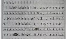 2016安徽高考零分作文：98分少年，欢迎来到标准世界