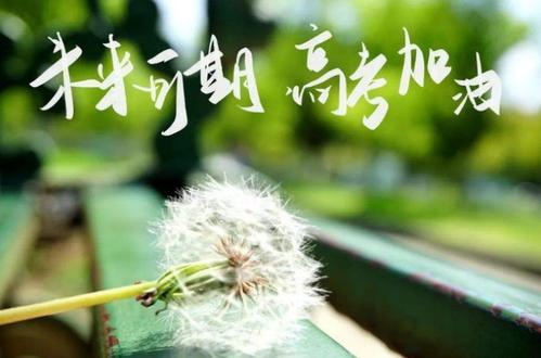 2015年安徽高考零点作文《尘色》走红，网友称赞文学才华