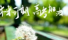 2015安徽高考零分作文《尘色》走红 网友大赞有文采