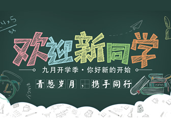 新的一年已经开始_600字