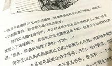 初三想象作文：假如我去埃及游玩_900字