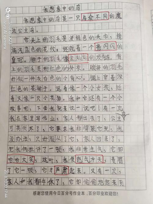 三年级想像力作文：我成了小鸟_1200字