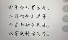 关于春雪的作文_650字