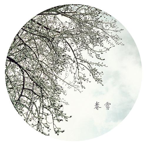 春学_900字左右的作文