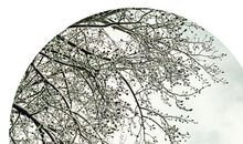 关于春雪的作文_900字