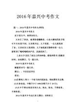 2008浙江嘉兴纸业高考作文：第二次___
