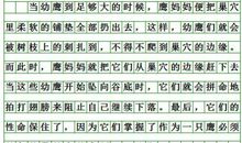 2006年南平中考作文题目