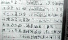 小升初作文写作指导：写景作文注意要点_800字