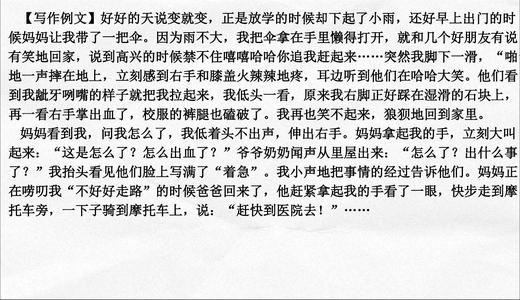 一年级的叙事作文：令人遗憾的_900字