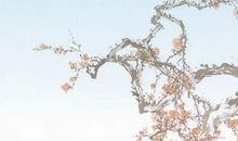 奋斗人生（我为谁而学）_1000字