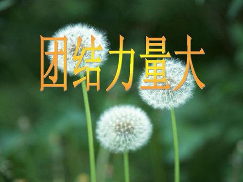 大团结（1）_750字