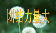 团结力量大（1）_750字
