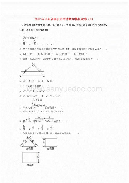 2017临沂市高中入学考试主题作文样本：独特的眼神