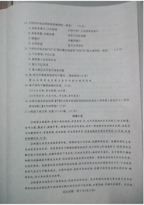 2015年山东滨州高中入学考试满分成绩答谢：很高兴与您在一起_2000字