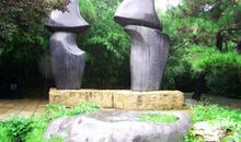 游紫竹院公园_350字