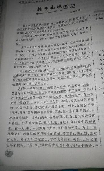 三年级的风景构图：一年春季的最大收益_650个单词