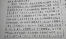 初三写景作文：最是一年春好处_650字