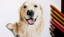 [PK赛]关于动物的作文∶可爱的小狗_400字