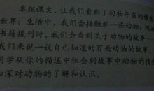 [PK赛]关于动物的作文：可爱的大龙虾_200字