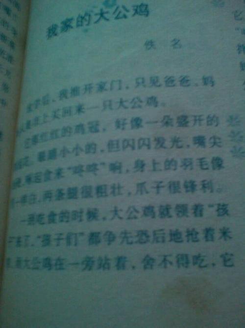 [PK赛]关于动物的构图：我的小鸡只350句话